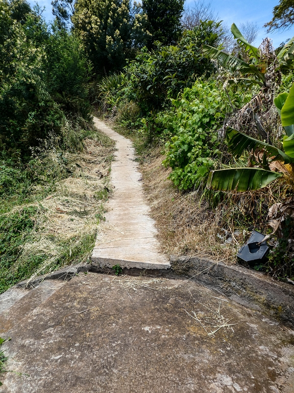 11.05.2019 Nochmals auf die Levada da Roda — To the large reservoir — photo 1