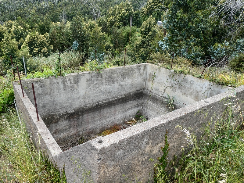 11.05.2019 Nochmals auf die Levada da Roda — On along the south-eastern terminal branch to the vertical section and back to the wash house — photo 3
