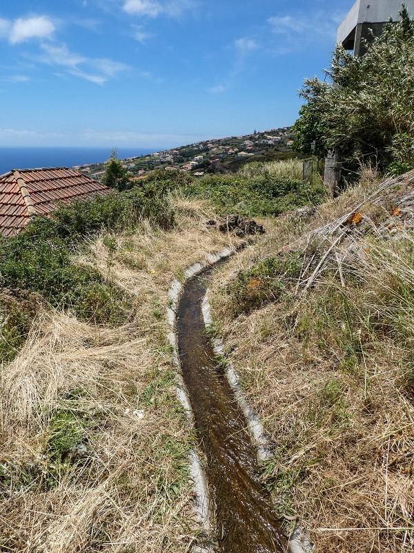 Levada da Roda — Der südöstliche Endast — Foto 2