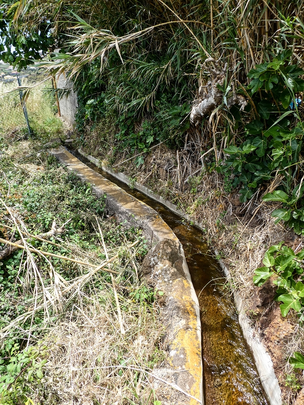 11.05.2019 Nochmals auf die Levada da Roda — On along the south-eastern terminal branch to the vertical section and back to the wash house — photo 8