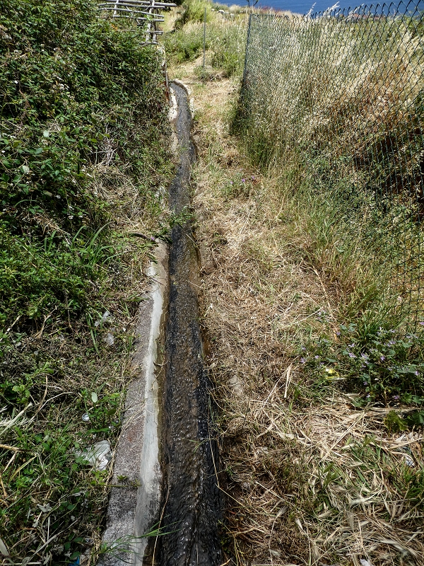 11.05.2019 Nochmals auf die Levada da Roda — On along the south-eastern terminal branch to the vertical section and back to the wash house — photo 9