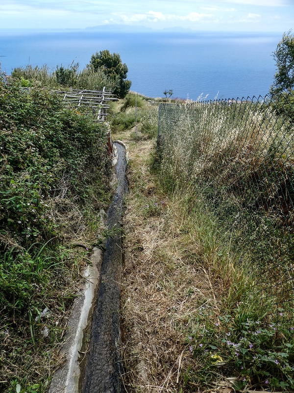 Levada da Roda — Der südöstliche Endast — Foto 5