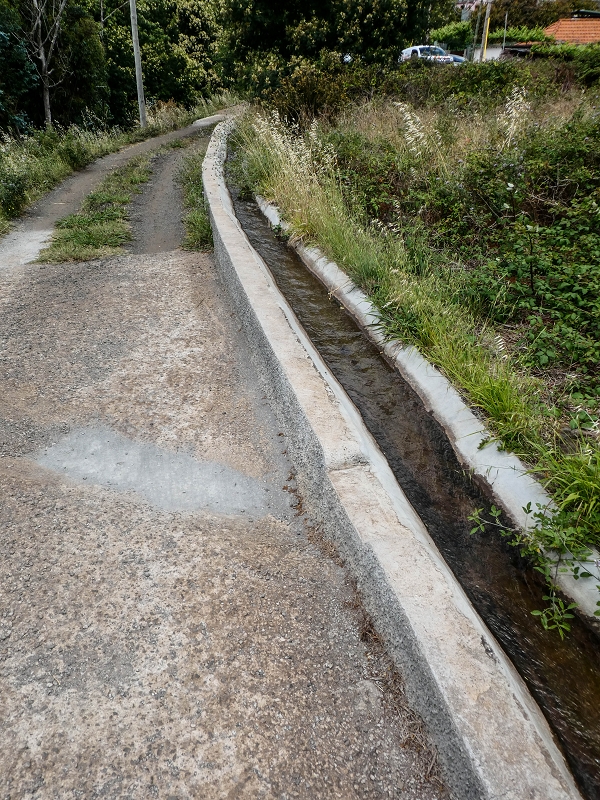 11.05.2019 Nochmals auf die Levada da Roda — On along the south-eastern terminal branch to the vertical section and back to the wash house — photo 15