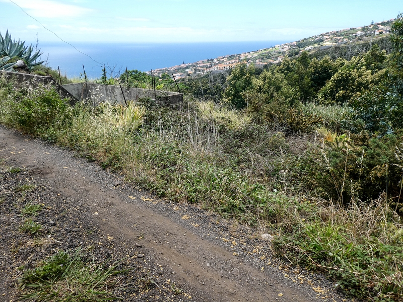 11.05.2019 Nochmals auf die Levada da Roda — On along the south-eastern terminal branch to the vertical section and back to the wash house — photo 17