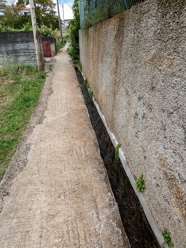 11.05.2019 Nochmals auf die Levada da Roda — On along the south-eastern terminal branch to the vertical section and back to the wash house — photo 18