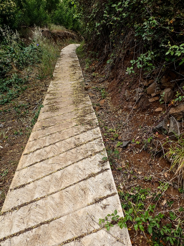 11.05.2019 Nochmals auf die Levada da Roda — To the large reservoir — photo 2