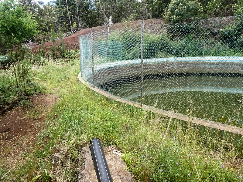 Levada da Roda — Der grosse Wasserspeicher — Foto 3