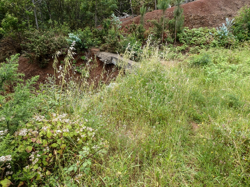 11.05.2019 Nochmals auf die Levada da Roda — Levada traces and the start of the ruined south-western terminal branch — photo 1