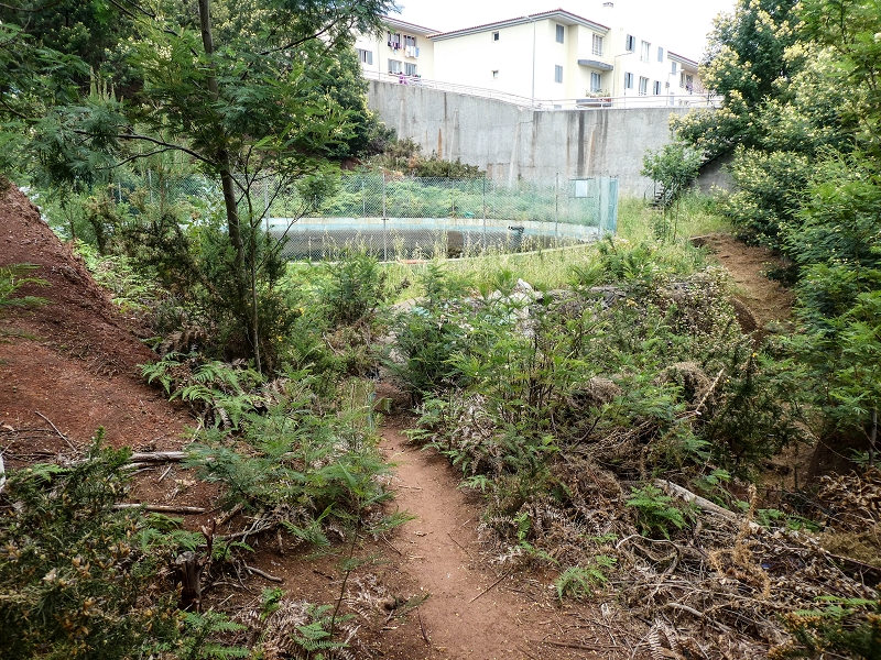 Levada da Roda — Beginn des hier verfallenen südwestlichen Endast — Foto 3