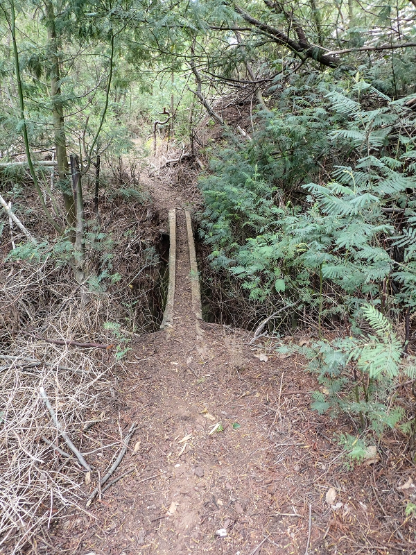 Levada da Roda — Beginn des hier verfallenen südwestlichen Endast — Foto 1