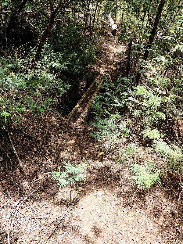 Levada da Roda — Beginn des hier verfallenen südwestlichen Endast — Foto 2