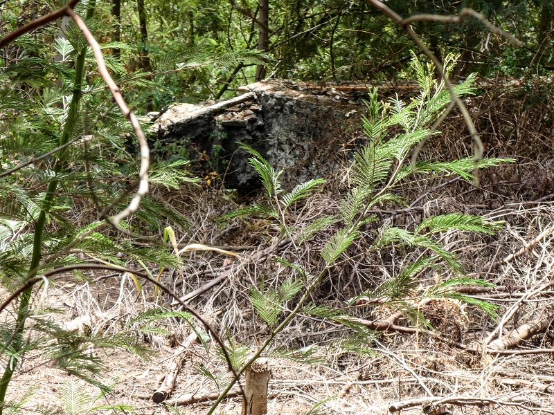 11.05.2019 Nochmals auf die Levada da Roda — Levada traces and the start of the ruined south-western terminal branch — photo 7