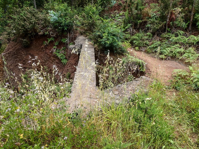 Levada da Roda — Beginn des hier verfallenen südwestlichen Endast — Foto 4