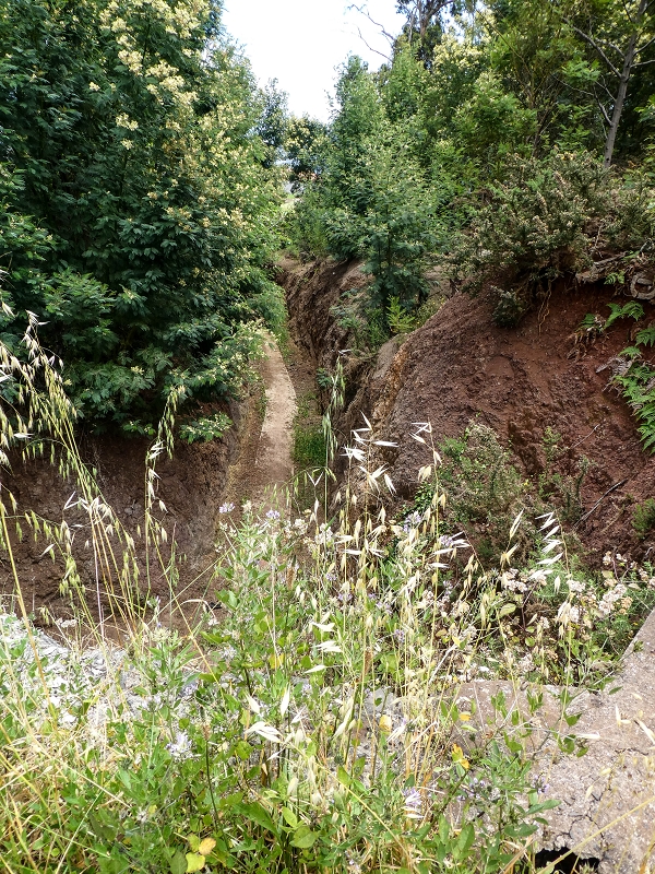 11.05.2019 Nochmals auf die Levada da Roda — Levada traces and the start of the ruined south-western terminal branch — photo 10
