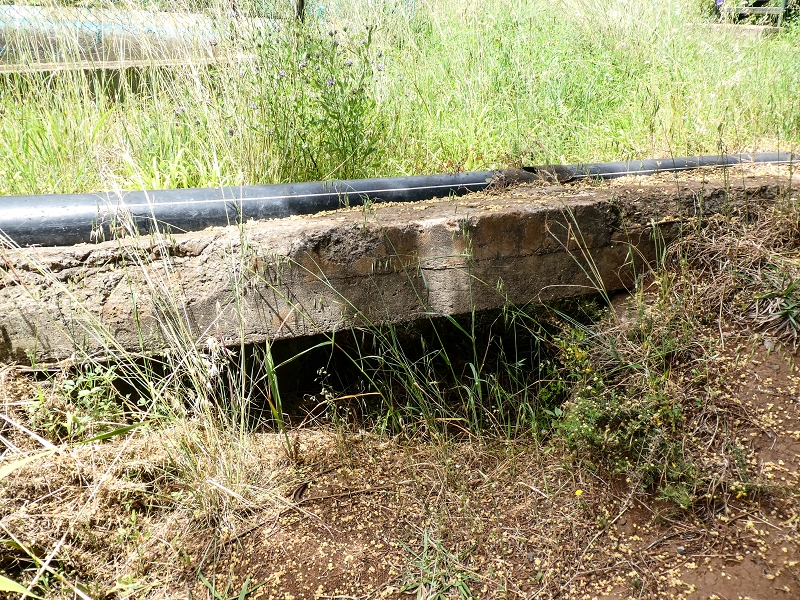 Levada da Roda — Beginn des hier verfallenen südwestlichen Endast — Foto 5