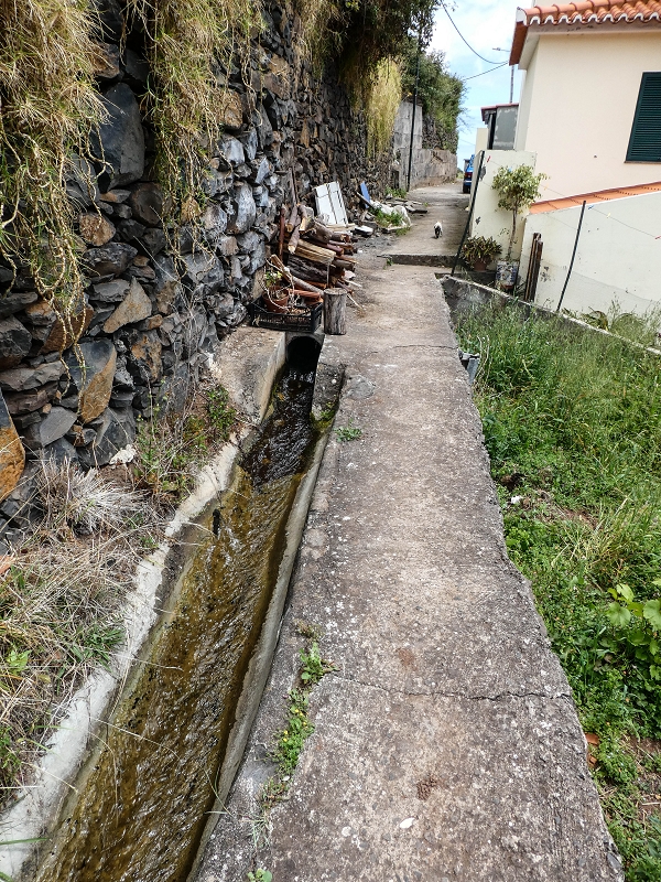 Levada da Roda — Zum ersten Abzweig — Foto 2