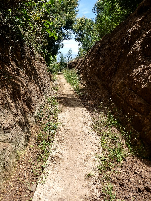 11.05.2019 Nochmals auf die Levada da Roda — Back to the starting point — photo 1