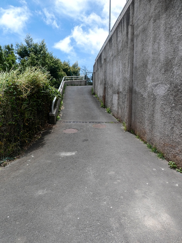 11.05.2019 Nochmals auf die Levada da Roda — Back to the starting point — photo 2