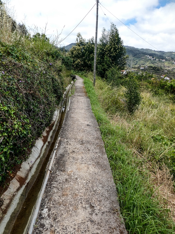11.05.2019 Nochmals auf die Levada da Roda — Back to the starting point — photo 3