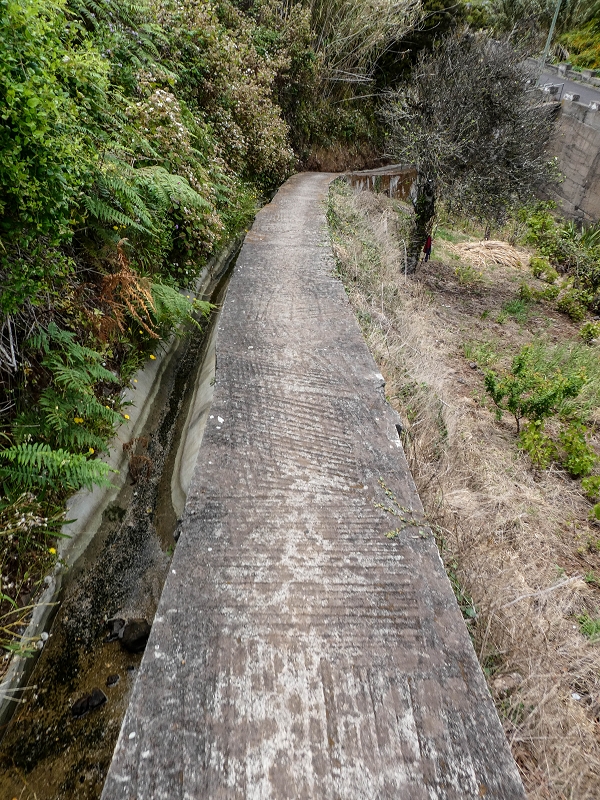 11.05.2019 Nochmals auf die Levada da Roda — Back to the starting point — photo 5