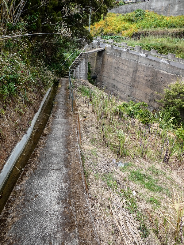 11.05.2019 Nochmals auf die Levada da Roda — Back to the starting point — photo 6