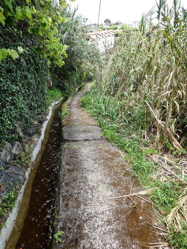 11.05.2019 Nochmals auf die Levada da Roda — Back to the starting point — photo 8