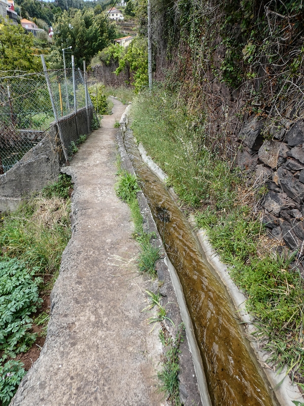 11.05.2019 Nochmals auf die Levada da Roda — On the Levada da Roda to the first branch — photo 4