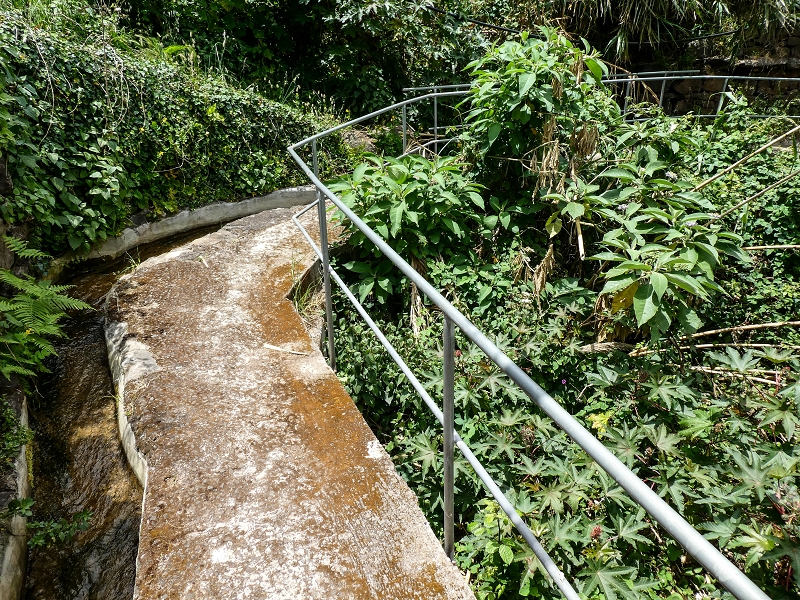 11.05.2019 Nochmals auf die Levada da Roda — Back to the starting point — photo 9