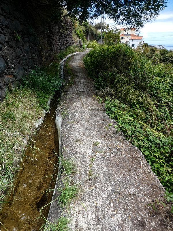 11.05.2019 Nochmals auf die Levada da Roda — Back to the starting point — photo 10