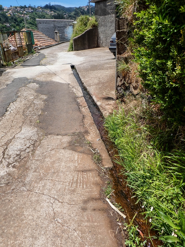 11.05.2019 Levadasuche in Gaula — Von Pico de Gaula zur Treppe an der Tornos — Foto 1