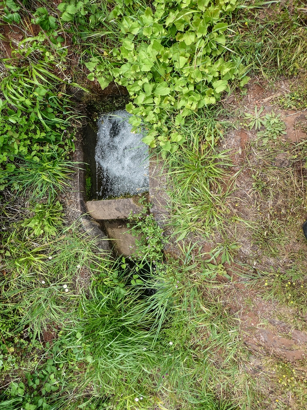 11.05.2019 Levadasuche in Gaula — Wasserabzweigung von der Levada dos Tornos — Foto 1