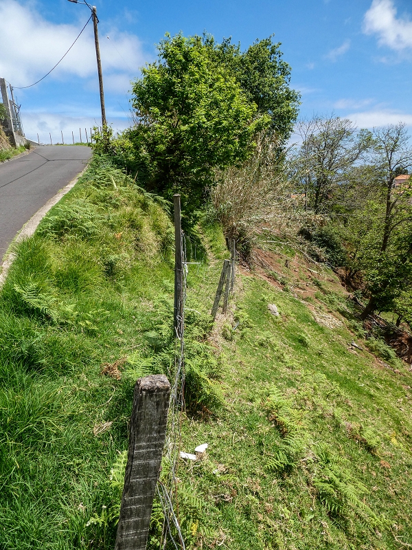 11.05.2019 Levadasuche in Gaula — Weiter auf dem Hauptast bis zum Ende — Foto 18