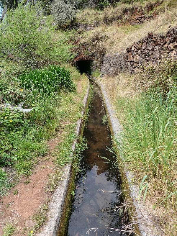11.05.2019 Levadasuche in Gaula — Wasserabzweigung von der Levada dos Tornos — Foto 2