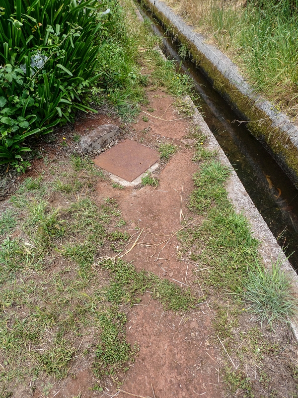 11.05.2019 Levadasuche in Gaula — Wasserabzweigung von der Levada dos Tornos — Foto 3