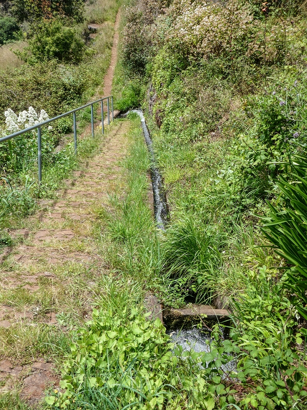 11.05.2019 Levadasuche in Gaula — Wasserabzweigung von der Levada dos Tornos — Foto 5