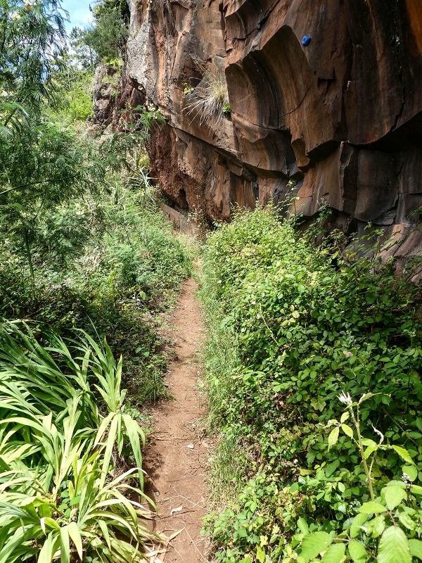 11.05.2019 Levadasuche in Gaula — Auf der Aussenseite des Tornos-Tunnels — Foto 2