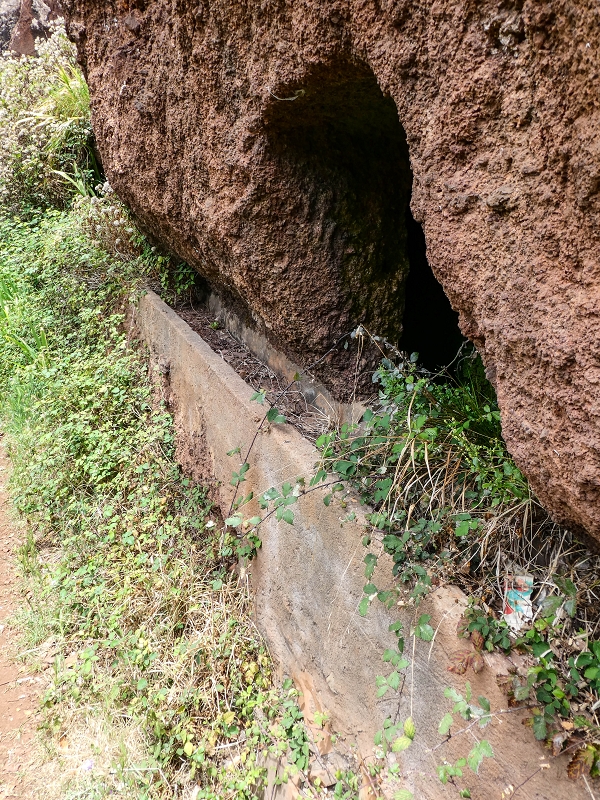 11.05.2019 Levadasuche in Gaula — Auf der Aussenseite des Tornos-Tunnels — Foto 3