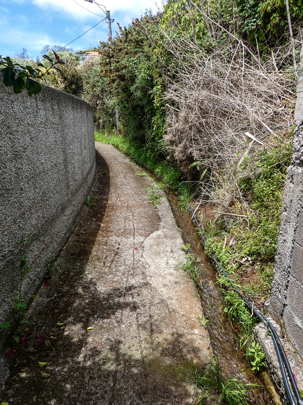 11.05.2019 Levadasuche in Gaula — Von Pico de Gaula zur Treppe an der Tornos — Foto 2