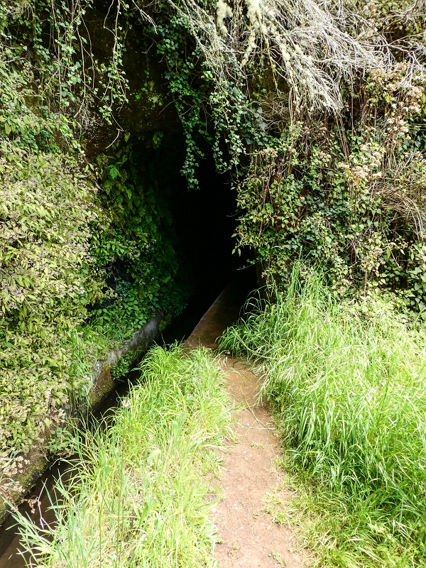 Levada dos Tornos sul — Entrada de água da Levada do Pico de Gaula — foto 3