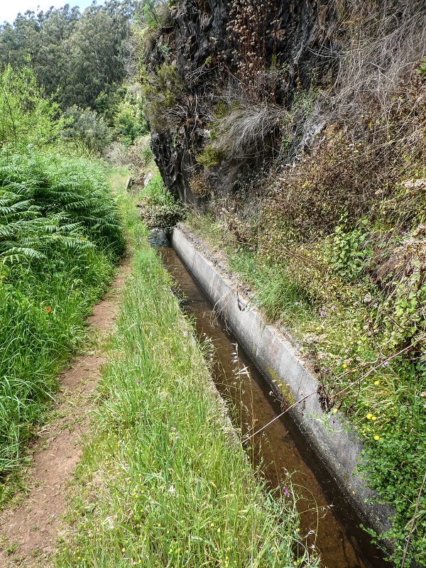 Levada dos Tornos sul — Entrada de água da Levada do Pico de Gaula — foto 4