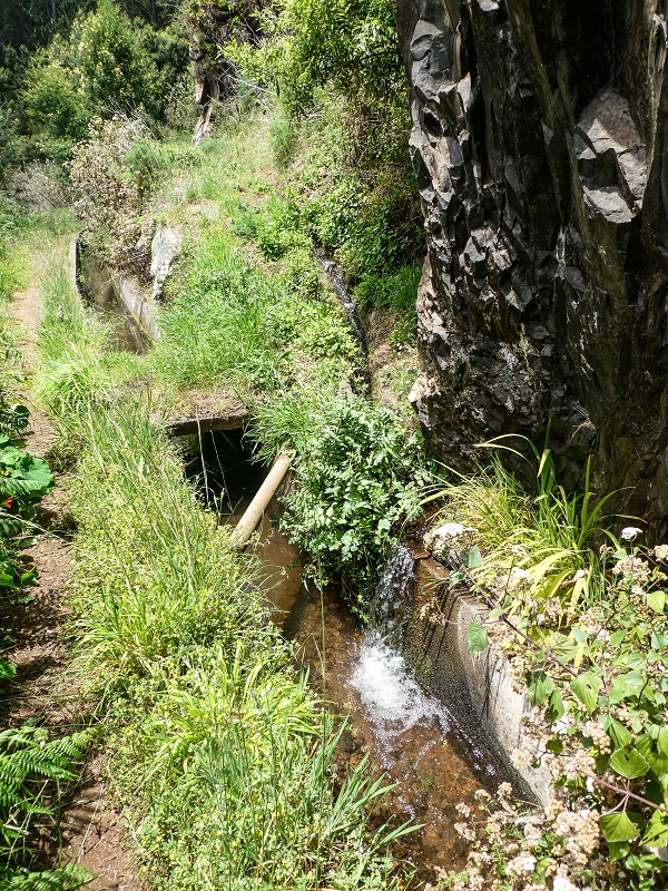 Levada dos Tornos sul — Entrada de água da Levada do Pico de Gaula — foto 5
