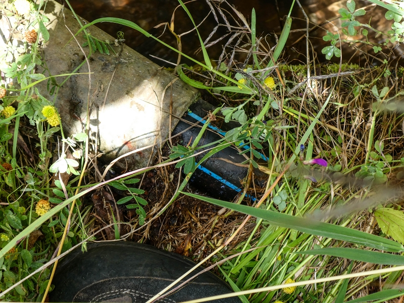 11.05.2019 Levadasuche in Gaula — Am anderen Ende des Tunnels, Einleitung der Levada do Pico de Gaula, Rohrbrücke — Foto 4