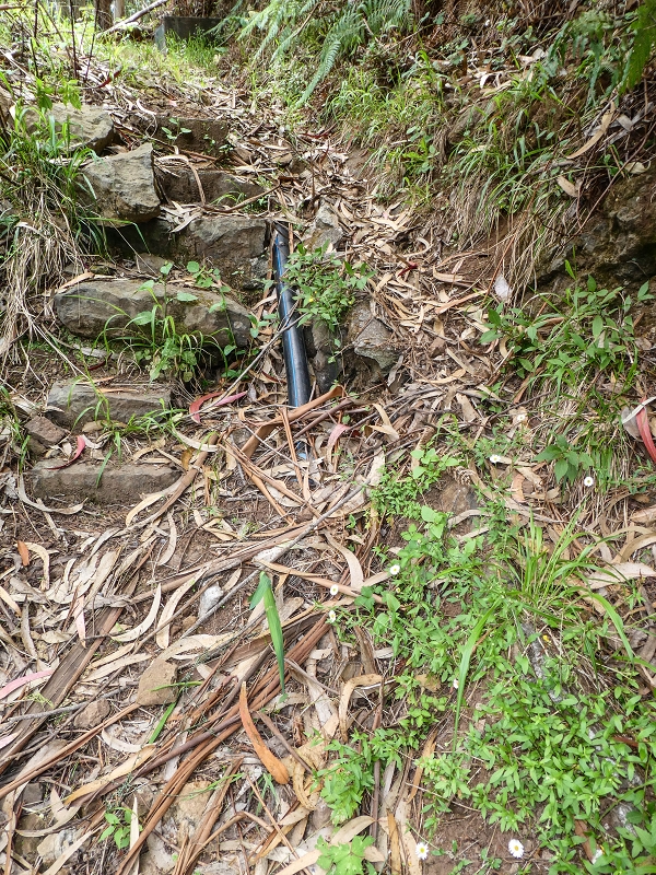 11.05.2019 Levadasuche in Gaula — Auf der alten Levada do Pico de Gaula zur alten inaktiven Madre — Foto 2