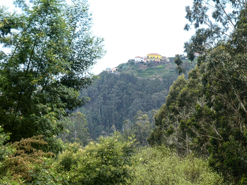 11.05.2019 Levadasuche in Gaula — Zurück nach Pico de Gaula — Foto 3