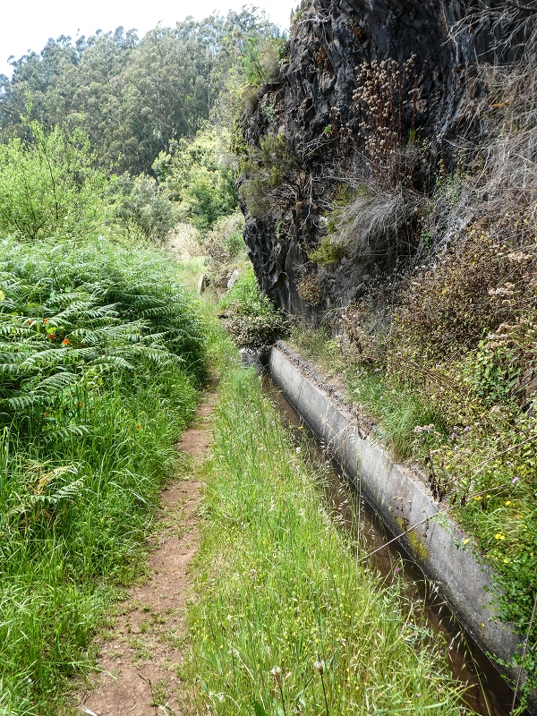 11.05.2019 Levadasuche in Gaula — Zurück nach Pico de Gaula — Foto 8