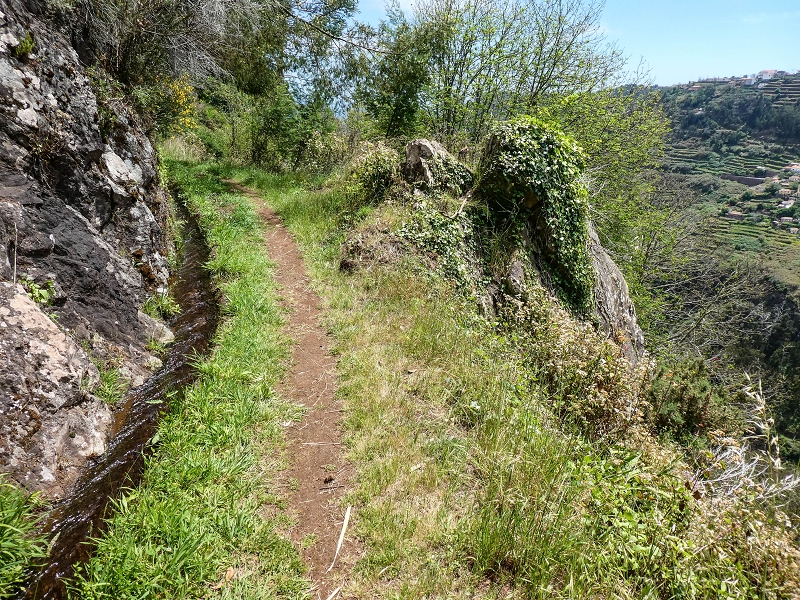 11.05.2019 Levadasuche in Gaula — Zurück nach Pico de Gaula — Foto 13