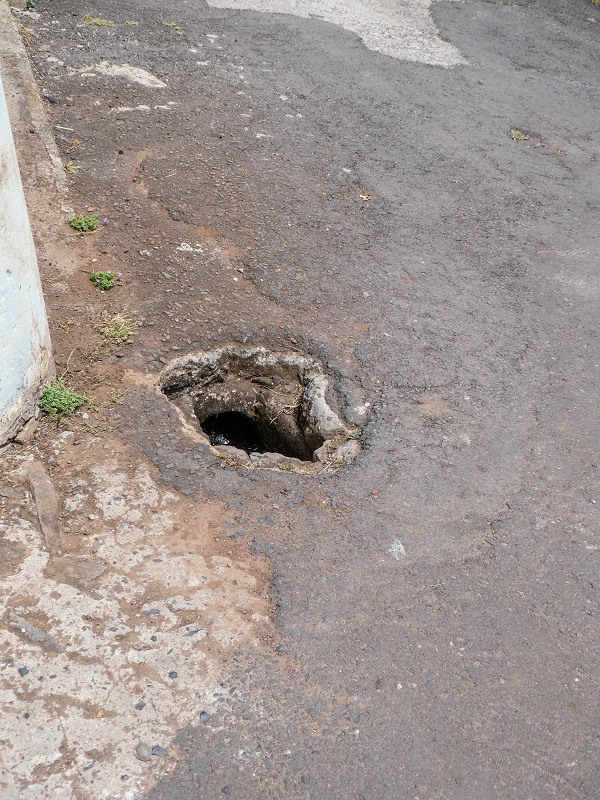 11.05.2019 Levadasuche in Gaula — Zurück nach Pico de Gaula — Foto 19