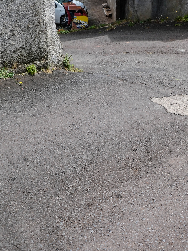 11.05.2019 Levadasuche in Gaula — Weiter auf dem Hauptast bis zum Ende — Foto 1