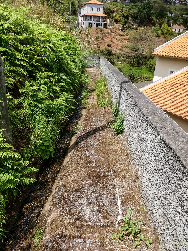 11.05.2019 Levadasuche in Gaula — Weiter auf dem Hauptast bis zum Ende — Foto 8