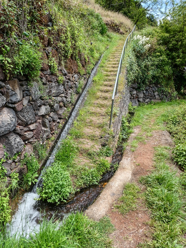 11.05.2019 Levadasuche in Gaula — Von Pico de Gaula zur Treppe an der Tornos — Foto 9
